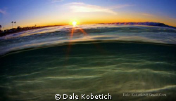Shot with a Canon 40d in home made housing...Large dome m... by Dale Kobetich 